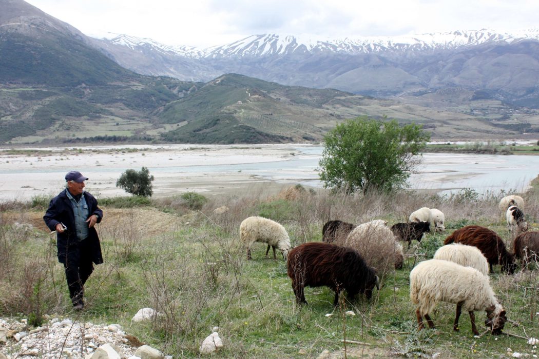 Albania